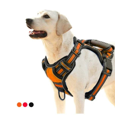 Pet Products