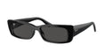 RAY-BAN Classic Round Frame Sunglasses for Men
